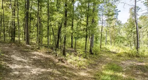 000 Pebble Dr, Clinton, AR 72031 photo 5
