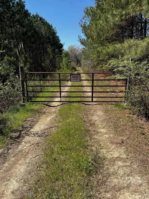 53 Center Point Loop, Vilonia, AR 72173 photo 3