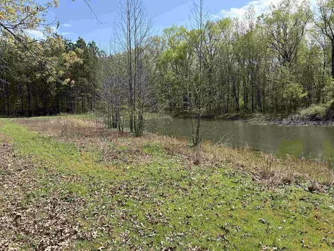53 Center Point Loop, Vilonia, AR 72173 photo 4
