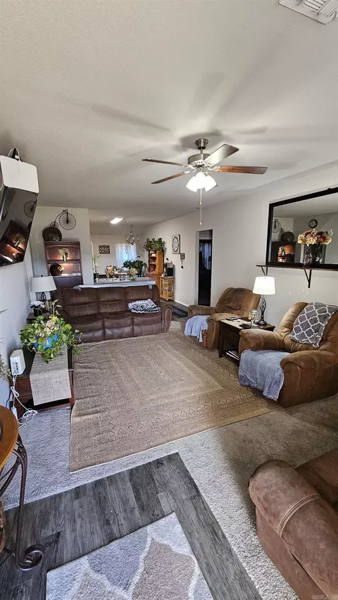 Living - 25 Sun Drenched Trl, Conway, AR 72032 photo 1 of 1