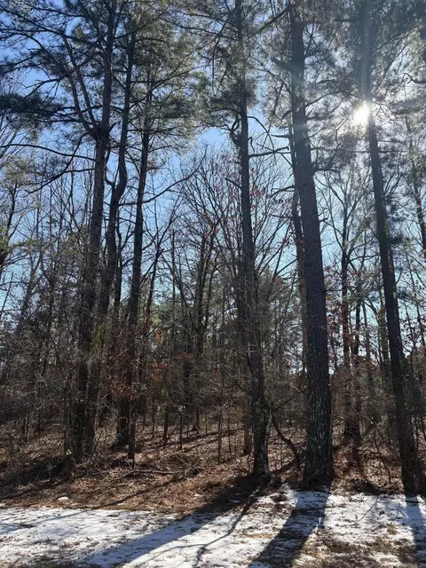 0 Kilcrease Rd, Pine Bluff, AR 71603 photo 7