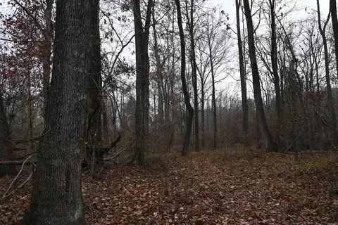 Exterior - 512 Owens Ln, Roe, AR 72134 photo 15 of 16
