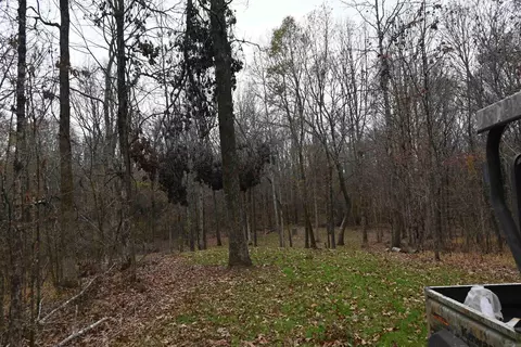 Exterior - 512 Owens Ln, Roe, AR 72134 photo 13 of 16
