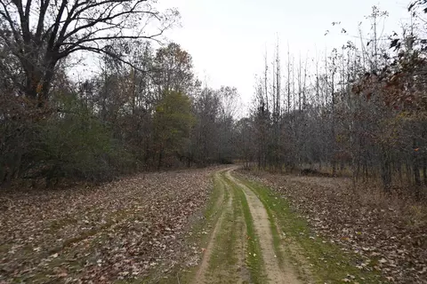 Other - 512 Owens Ln, Roe, AR 72134 photo 5 of 15