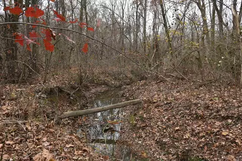 Other - 512 Owens Ln, Roe, AR 72134 photo 9 of 15