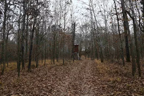 Other - 512 Owens Ln, Roe, AR 72134 photo 13 of 15