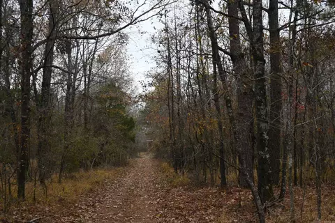 Other - 512 Owens Ln, Roe, AR 72134 photo 6 of 15