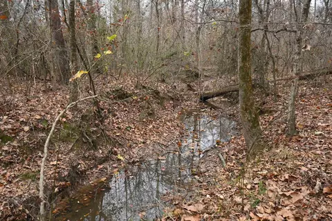 Other - 512 Owens Ln, Roe, AR 72134 photo 8 of 15