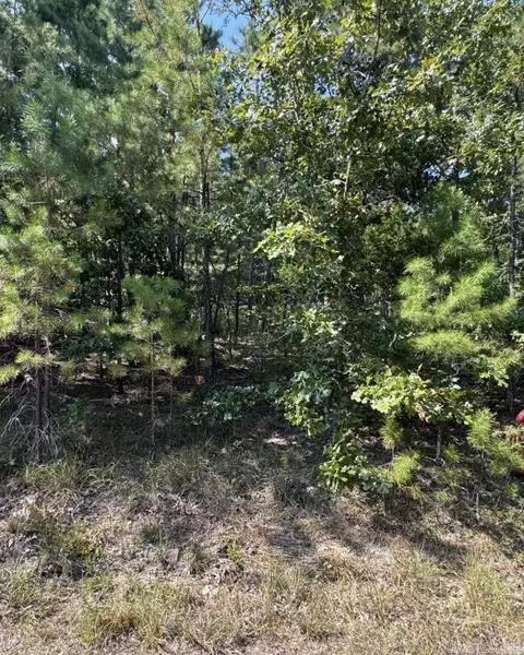 67 Tomelloso Way, Hot Springs Village, AR 71909