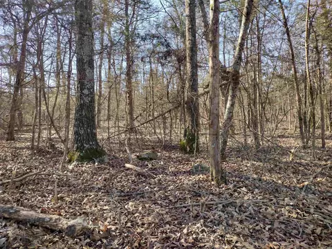 8 Saint James Road, Mountain View, AR 72560 photo 3