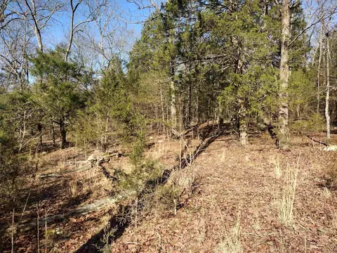 8 Saint James Road, Mountain View, AR 72560 photo 15