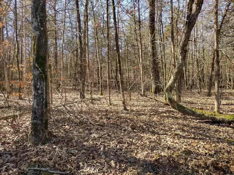 8 Saint James Road, Mountain View, AR 72560 photo 2