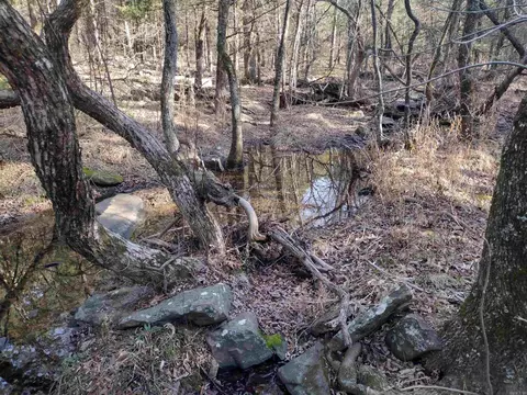 2 Arkansas 14, Mountain View, AR 72560 photo 5