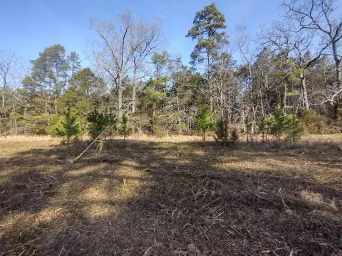 2 Arkansas 14, Mountain View, AR 72560 photo 18