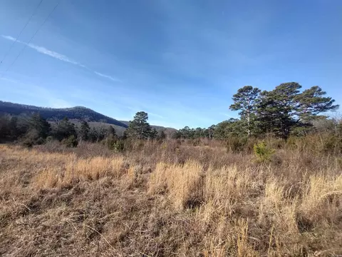 2 Arkansas 14, Mountain View, AR 72560 photo 4