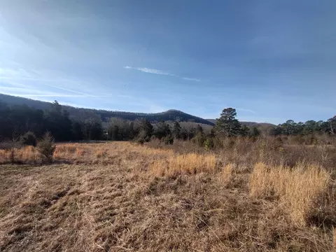 2 Arkansas 14, Mountain View, AR 72560 photo 23