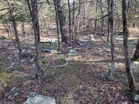 2 Arkansas 14, Mountain View, AR 72560 photo 3