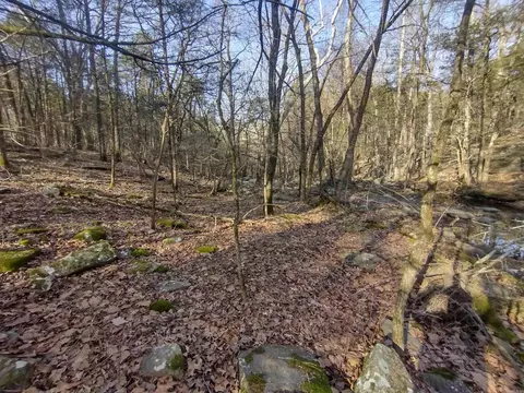 2 Arkansas 14, Mountain View, AR 72560 photo 9