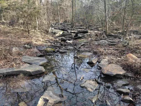 2 Arkansas 14, Mountain View, AR 72560 photo 31
