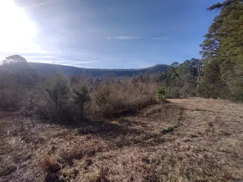 2 Arkansas 14, Mountain View, AR 72560 photo 17