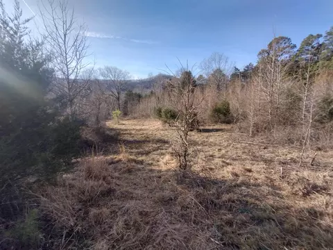 2 Arkansas 14, Mountain View, AR 72560 photo 16