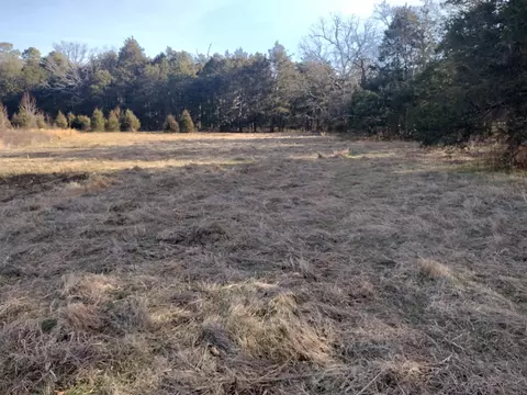 2 Arkansas 14, Mountain View, AR 72560 photo 27