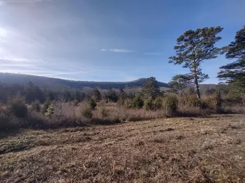 2 Arkansas 14, Mountain View, AR 72560 photo 20