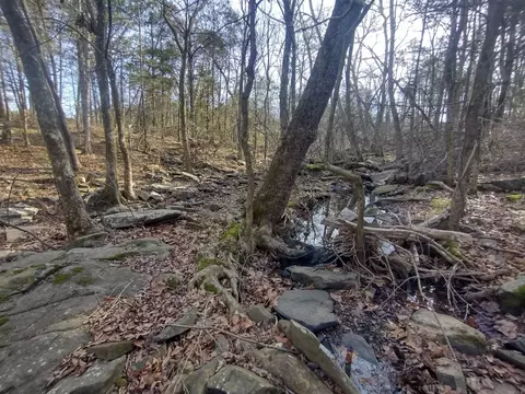 2 Arkansas 14, Mountain View, AR 72560 photo 8