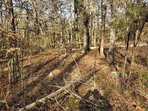 2 Arkansas 14, Mountain View, AR 72560 photo 29