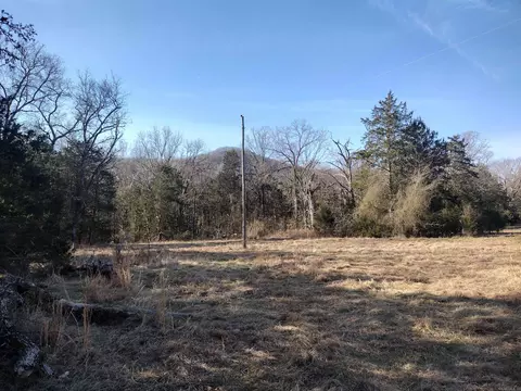 2 Arkansas 14, Mountain View, AR 72560 photo 7