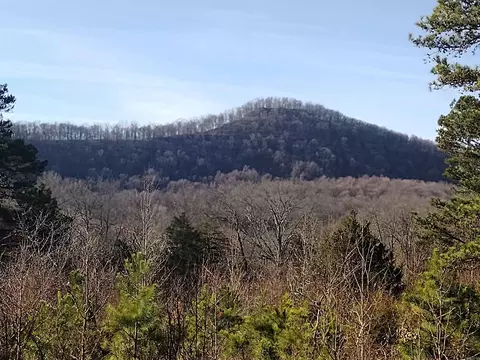 2 Arkansas 14, Mountain View, AR 72560 photo 2