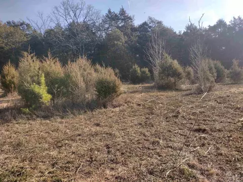 2 Arkansas 14, Mountain View, AR 72560 photo 24