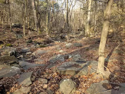 2 Arkansas 14, Mountain View, AR 72560 photo 30