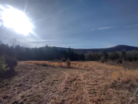 2 Arkansas 14, Mountain View, AR 72560 photo 22