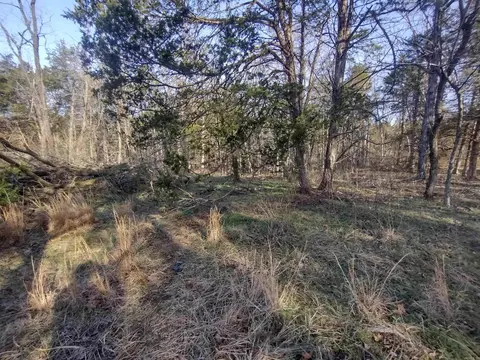 1 Arkansas 14, Mountain View, AR 72560 photo 5