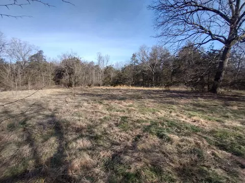 1 Arkansas 14, Mountain View, AR 72560 photo 6