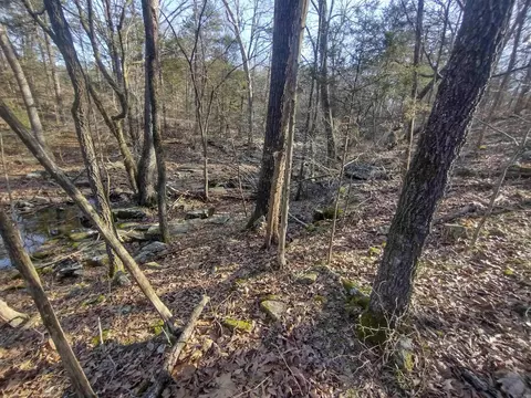 1 Arkansas 14, Mountain View, AR 72560 photo 2