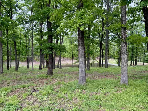 Exterior - 507 Polk Road 13, Wickes, AR 71973 photo 15 of 15