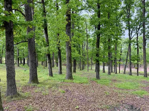 Exterior - 507 Polk Road 13, Wickes, AR 71973 photo 3 of 15