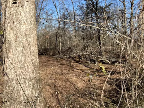 000 16 North Hwy, Albion, AR 72143 photo 15
