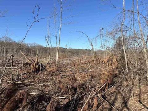 000 16 North Hwy, Albion, AR 72143 photo 8