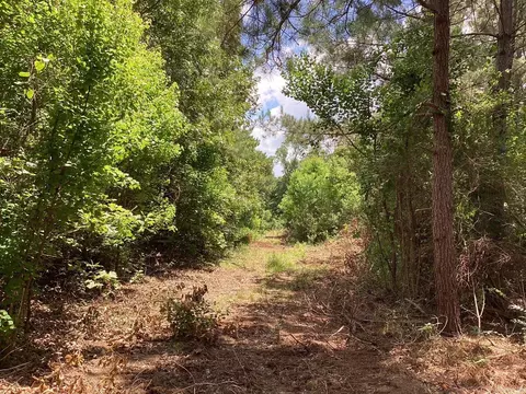 39 West Avenue East, Hope, AR 71801 photo 10
