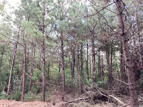 39 West Avenue East, Hope, AR 71801 photo 12