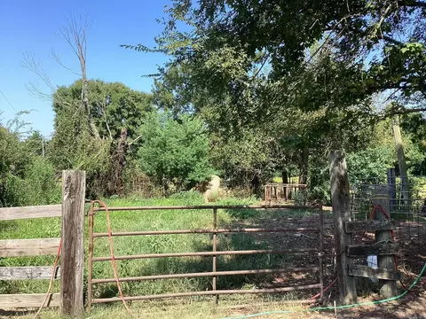 39 West Avenue East, Hope, AR 71801 photo 16