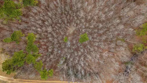 lot48 Highway 79 S, Pine Bluff, AR 71603 photo 18