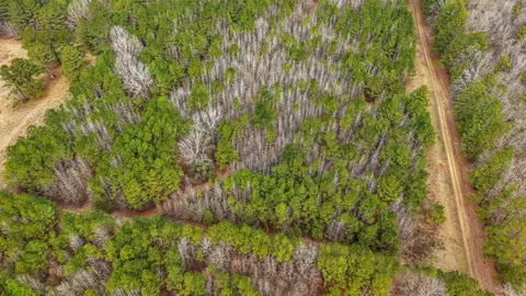 lot48 Highway 79 S, Pine Bluff, AR 71603 photo 5