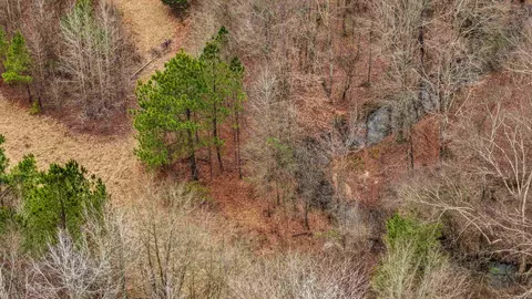 lot48 Highway 79 S, Pine Bluff, AR 71603 photo 19