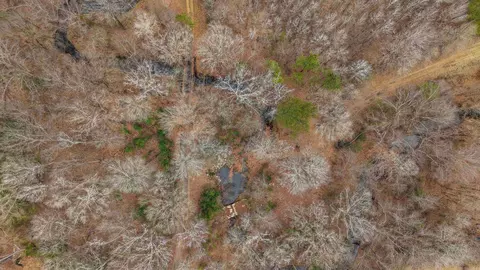 lot48 Highway 79 S, Pine Bluff, AR 71603 photo 23