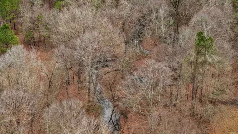 lot48 Highway 79 S, Pine Bluff, AR 71603 photo 24