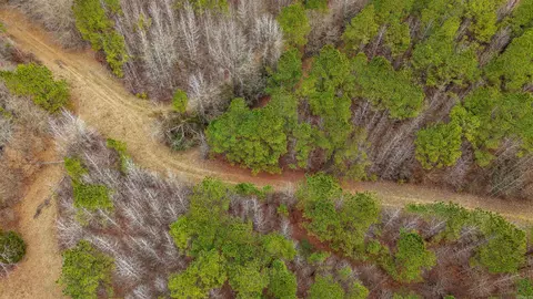 lot48 Highway 79 S, Pine Bluff, AR 71603 photo 11